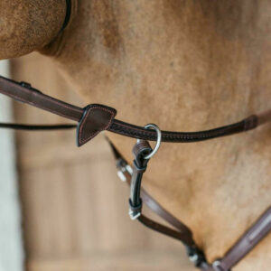 New-English-Reins-with-Loops-Plaited-Finish-1