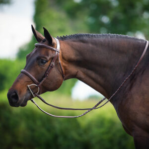 Dy'on US Collection Cavesson Noseband Bridle - Brown
