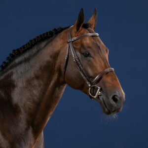 US-Collection-Cavesson-Noseband-Bridle-Brown-2