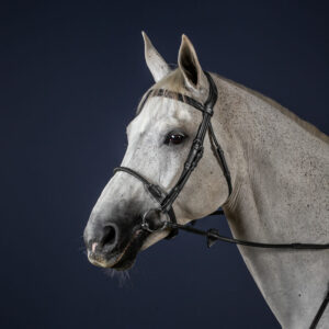 This beautiful Dy’on New English Collection Leather Covered Rope Noseband: Is made of stunning Grade 1 Catalan leather Features a waxed rope cavesson noseband which is covered with soft leather Has stitching that matches the leather Has stainless steel buckles Is available in Black and Brown Is available in Cob and Full size. New-English-Leather-Covered-Rope-Noseband-Black-1