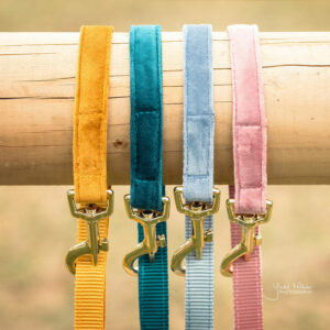 Kentucky Dogwear Velvet Dog Leads 120cm