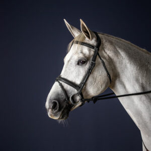 Dy'on New English Collection Flash Noseband Bridle