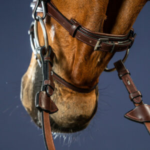 Dy'on New English Collection Flash Noseband Bridle