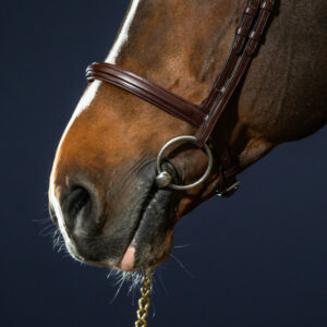Dy'on New English Collection Flash Noseband Bridle