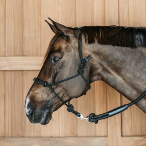 Dy'on Working Collection Training Halter