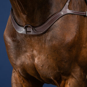 Dy'on US Collection Anatomic Breastplate