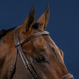 US Collection Hunter Cavesson Noseband Bridle
