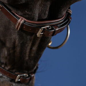 Dy'on US Collection X-Fit Bridle