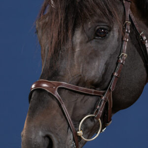 Dy'on US Collection X-Fit Bridle