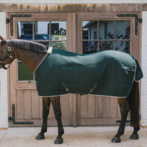 Kentucky Horsewear Cooler Rug PROtherm