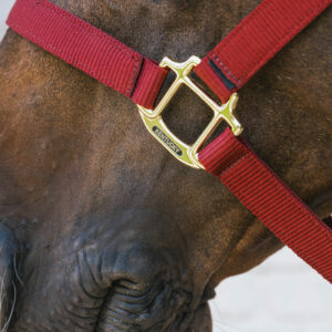 Kentucky Horsewear Nylon Breakaway Halter