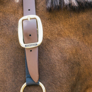 Nylon Halter Breakaway Neck Piece