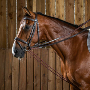 Dy'on Working Collection Leather and Rope Draw Reins