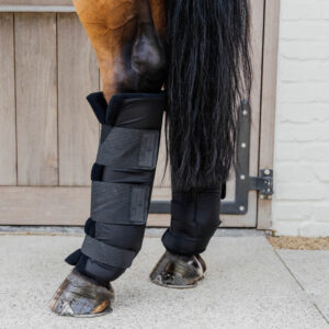 Stable Boots PROtect Classic Hind