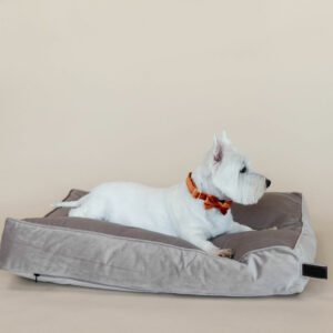 Kentucky Dogwear Velvet Dog Bed Pillow