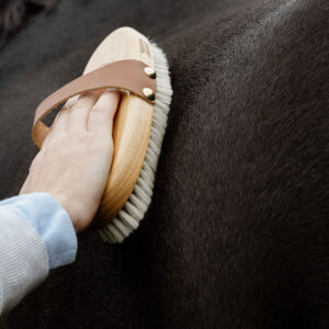 Grooming Deluxe Overall Body Brush Soft Shine