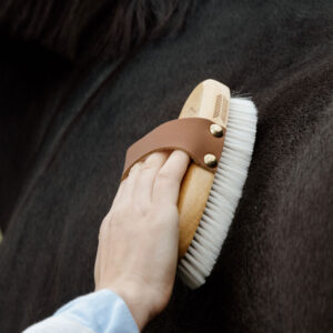 Grooming Deluxe Small Overall Brush Soft