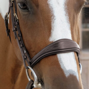 Dy'on Collection Anatomic Noseband without Flash