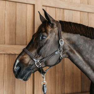 Dy'on Working Collection Plaited Headcollar