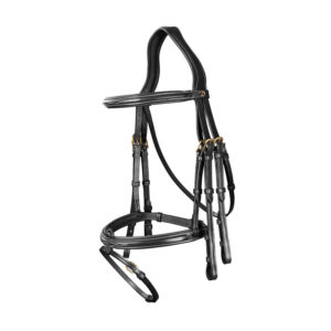 Dy’on Collection Flash Noseband Double Bridle Black