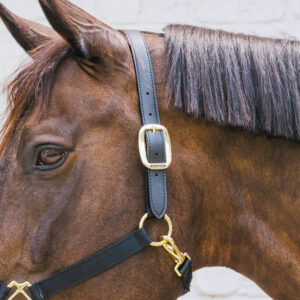 Nylon Halter Breakaway Neck Piece