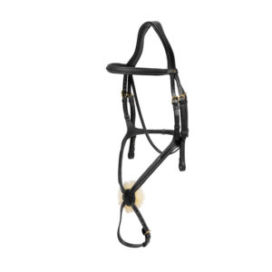 Dy'on Collection Plaited Fig 8 Noseband Bridle 2