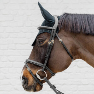Dy'on Collection Plaited Flash Noseband Bridle Black on Horse