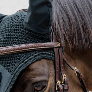 Dy'on collection Plaited Flash Noseband Bridle