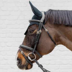 Dy'on collection Plaited Flash Noseband Bridle
