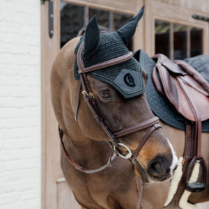 Dy'on collection Plaited Flash Noseband Bridle