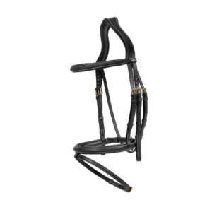 Dy'on collection Plaited Flash Noseband Bridle