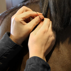 Grooming Deluxe Rubber Plaiting Bands Black 1
