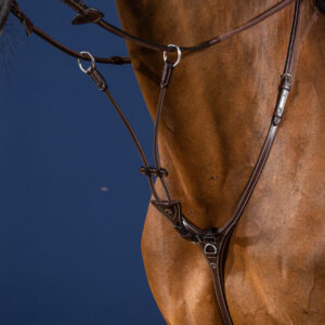 US Collection Elastic Running Martingale Attachment