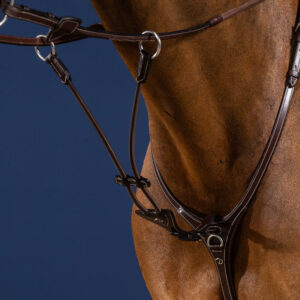 US Collection Elastic Running Martingale Attachment