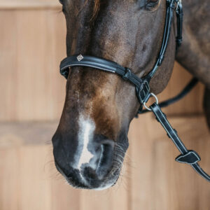 Working Collection Bitless Bridle