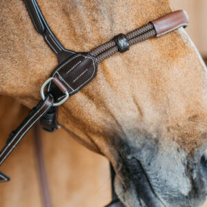 Working Collection Bitless Bridle