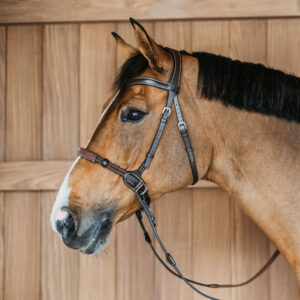 Working Collection Bitless Bridle