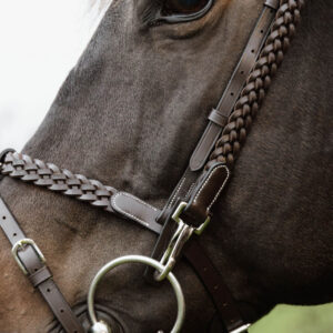 Working Collection Plaited Training Bridle