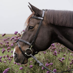 Working Collection Plaited Training Bridle
