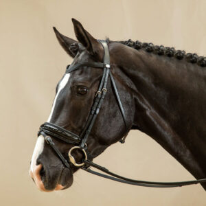 Working Patent Large Crank Noseband Bridle With Flash