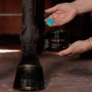 Grooming Deluxe Deep Ice Gel On Horse