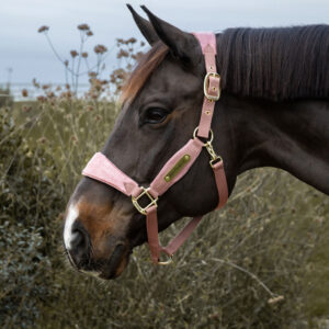 Velvet Halter Unicorn Glitter