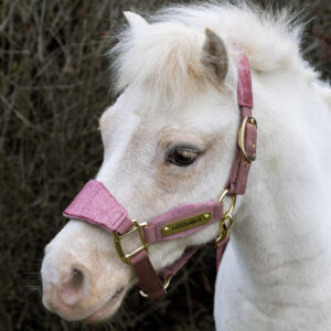 Velvet Halter Unicorn Glitter